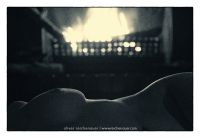 ariane fireplace