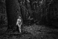 nude on a tree