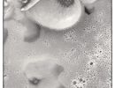 nudes ariane bathing