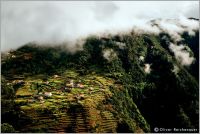 town in madeira
