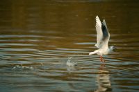  dsc0153 bearbeitet 20210802