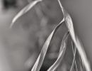  dsc0810 b 20151005 20210802