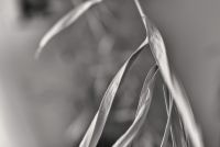  dsc0810 b 20151005 20210802