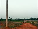 red soil