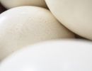 ostrich eggs