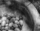 stil schale mit steinen 2 bw 20210801