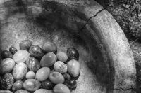 stil schale mit steinen 2 bw 20210801