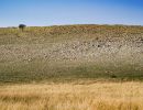 hill
