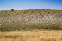 hill