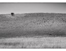 hill1