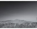 plains1