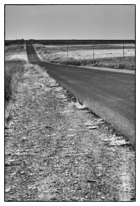 rpuad through the plains
