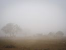 foggy mountains