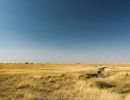 landscapes grassland 20210801