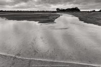landscapes runde river 20210801