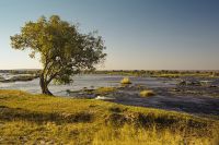 landscapes zambesi 20210801